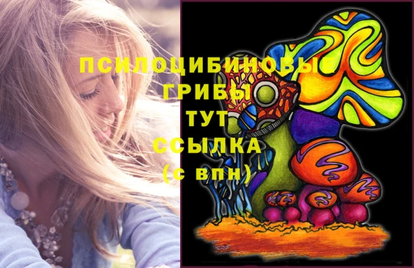 гидропоника Абаза