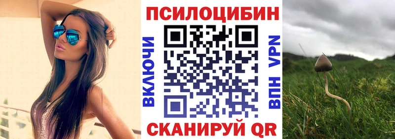 Галлюциногенные грибы мицелий  Иркутск 